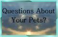 Psychic Animal Communication & Energy Healing